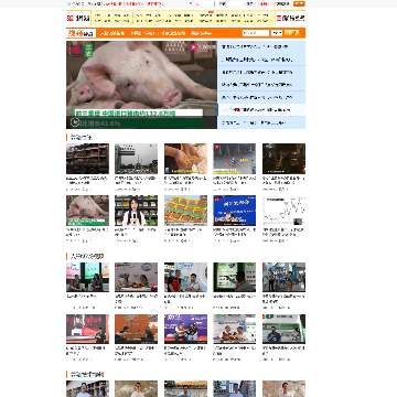 猪e网养猪视频