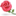 时尚鲜花网