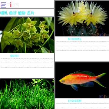 Sbike水族百科网