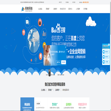 河南青峰网络科技有限公司