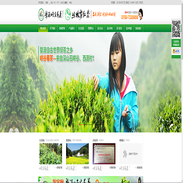婺源峡谷春茶