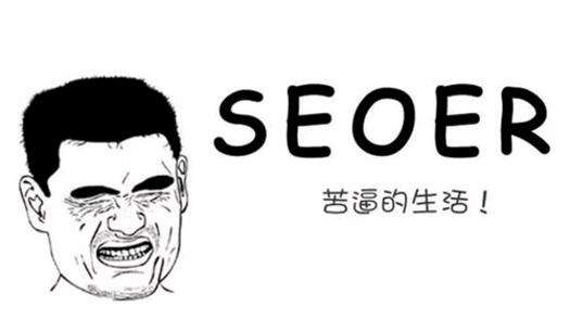 泊君SEO谈草根seoer的逆袭