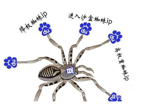 谨慎对待spider蜘蛛提升网站收录比